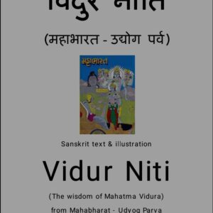 Vidur Niti